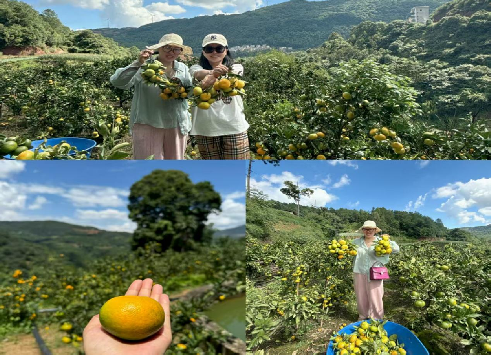 QQ浏览器截图20250404104652.png