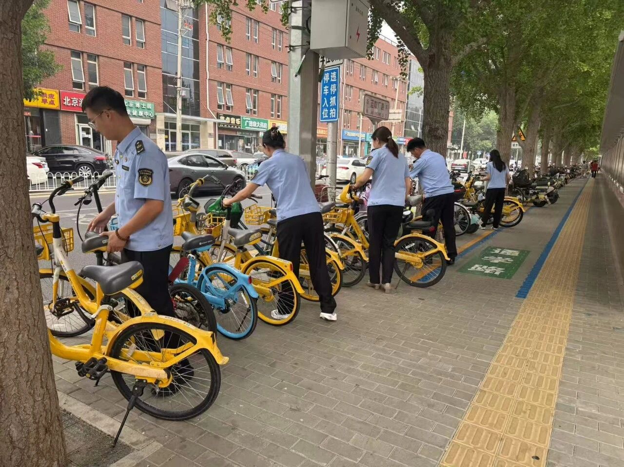 微信图片_2026-05-21_115950_492.jpg